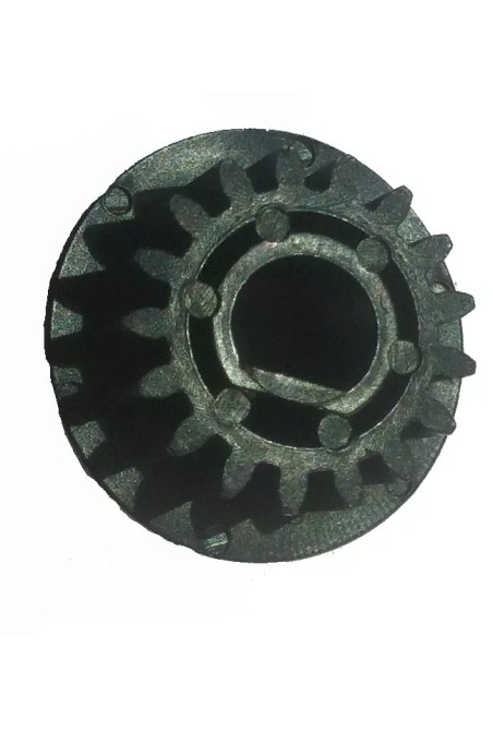 BRUSH ROLLER GEAR